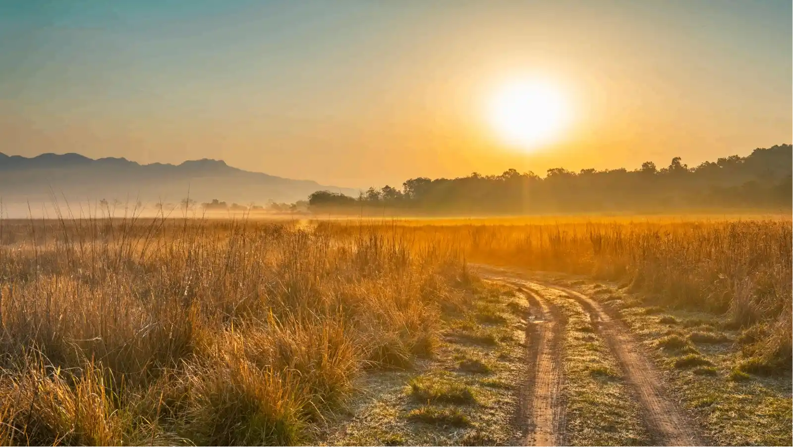 Jim Corbett National Park